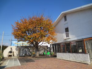 宇部市　全体外構　カーポート　M・シェード　