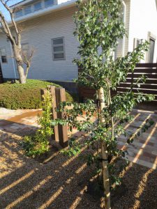 宇部市　ガーデン工事　レンガ敷き