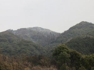 美祢市　ガーデン工事　レンガ敷き　