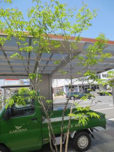 カースペース　ガーデンリフォーム