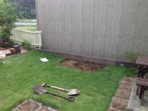 ディーズガーデン　カンナキュート