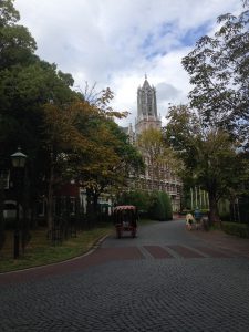 アプローチ　ウッドデッキ　さしかけ