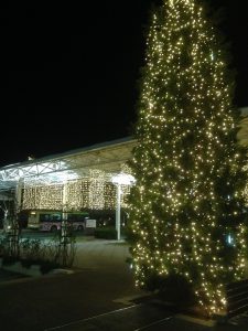 全体外構　カーポート　さしかけ