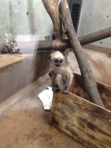 ガーデンリフォーム