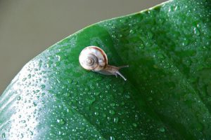 梅雨本格化の兆し・・・
