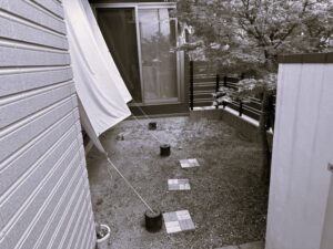 IMG_0618